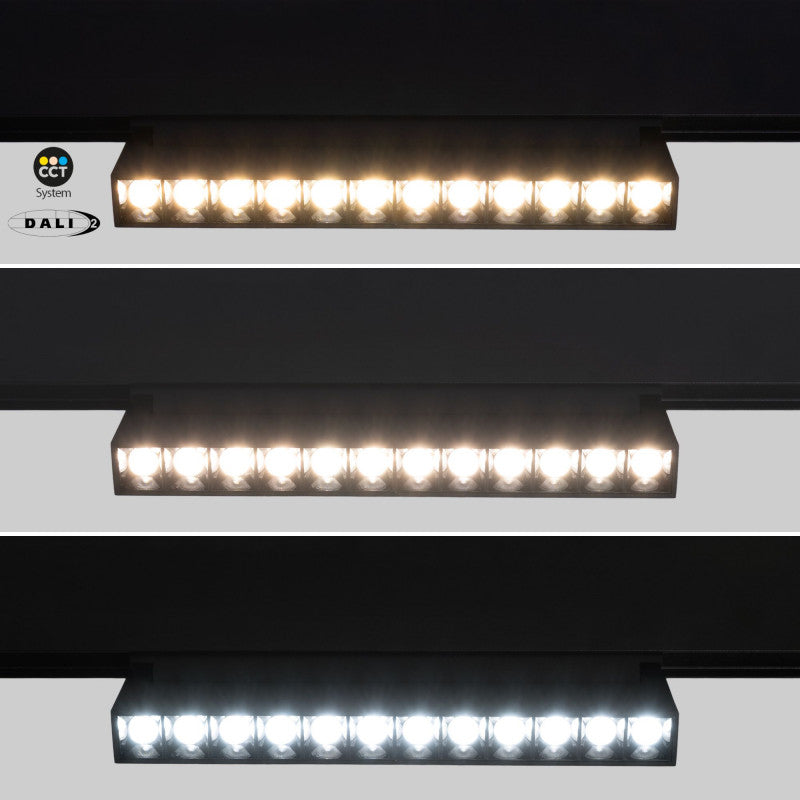 Trano 48V Magnet‑Schienenstrahler CCT 12W/18W DALI‑2 dimmbar UGR18, 24° Spot, CRI 95, schwenkbar – Linear LED Lampe Schwarz