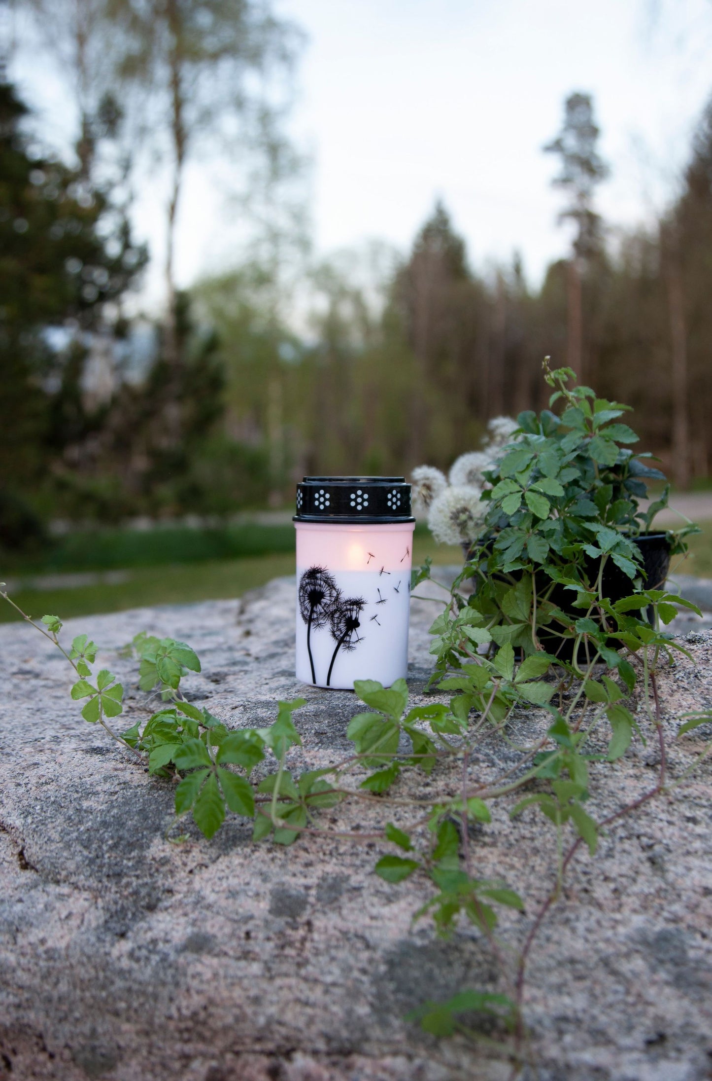 LED-Grablicht Weiß Pusteblumenmotiv, Warmweiß, Timerfunktion, 2 Größen, Batteriebetrieben