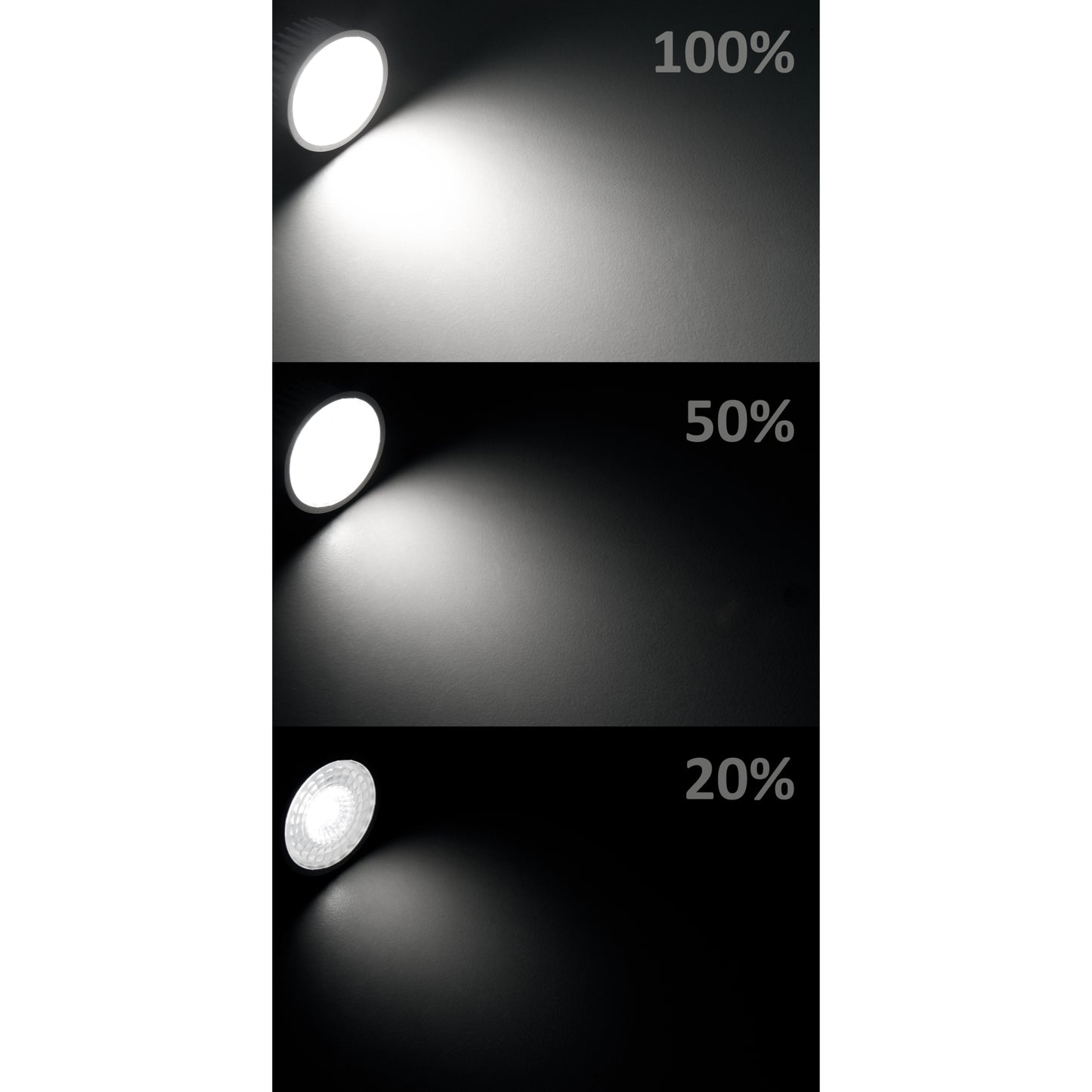 Trano LED-Modul "MCOB" 5W 400lm 230V 50x25mm • Warmweiß/Neutralweiß • Nicht dimmbar, Dimmbar & Step-dimmbar • 3000K / 4000K • Ersatz für MR16 & GU10 • Einbau-LED für Möbel, Decke & Leuchten