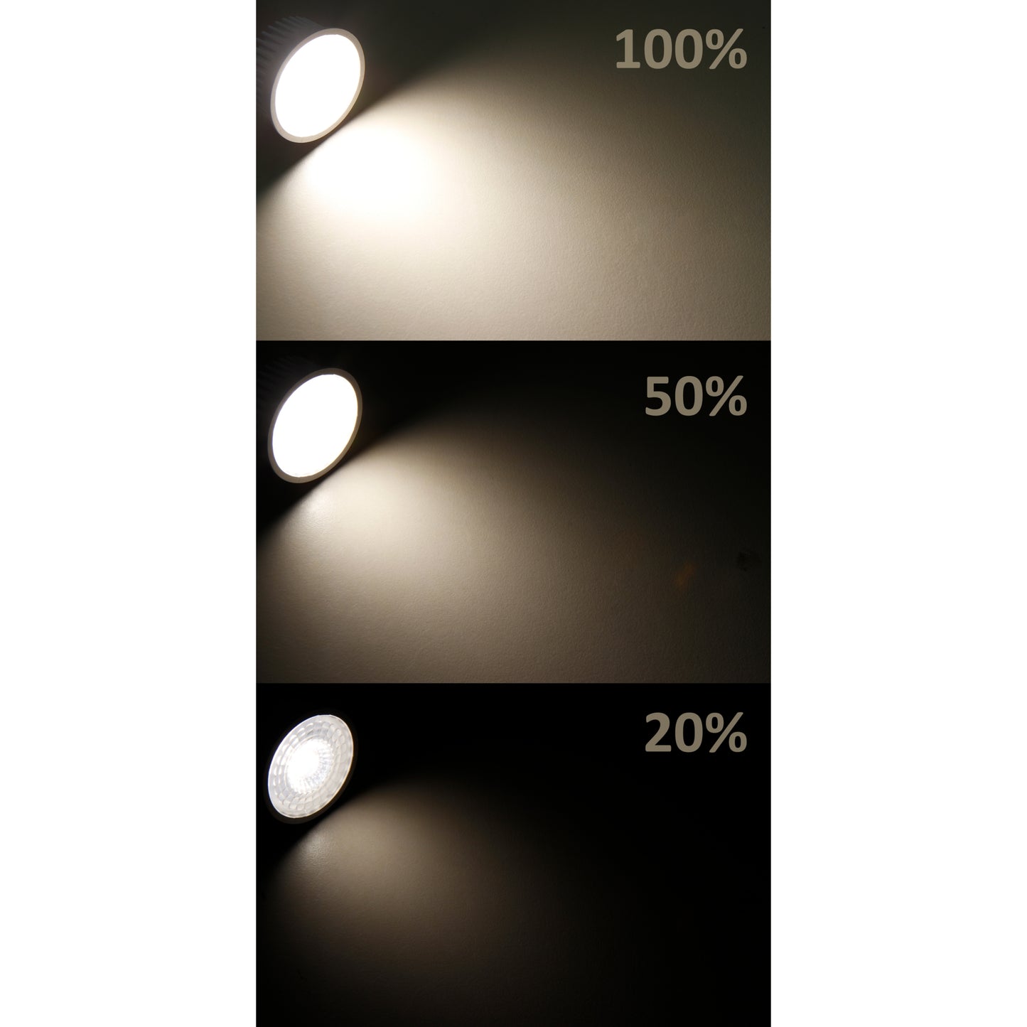 Trano LED-Modul "MCOB" 5W 400lm 230V 50x25mm • Warmweiß/Neutralweiß • Nicht dimmbar, Dimmbar & Step-dimmbar • 3000K / 4000K • Ersatz für MR16 & GU10 • Einbau-LED für Möbel, Decke & Leuchten