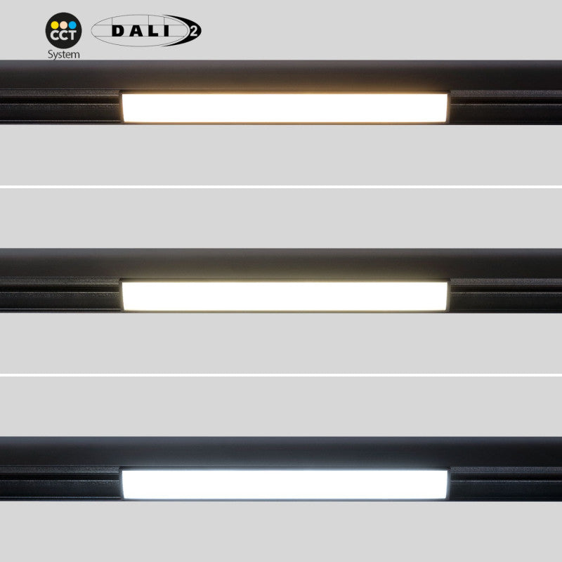 Trano 48V CCT Magnet Schienenleuchte 12W/20W dimmbar – DALI‑2, 2700‑6000K, 120° Winkel, Aluminium, Opaler Diffusor, UGR22, Schwarz