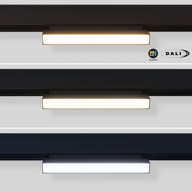 Trano 48V Magnet Schienensystem CCT Leuchte 12W/18W DALI‑2 dimmbar – schwenkbarer LED Stromschienenstrahler 2700‑6000K, CRI 95, 120°